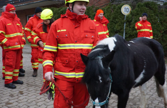 DLRG Wasserrettungszug Schaumburg übt die Evakuierung von Pferden