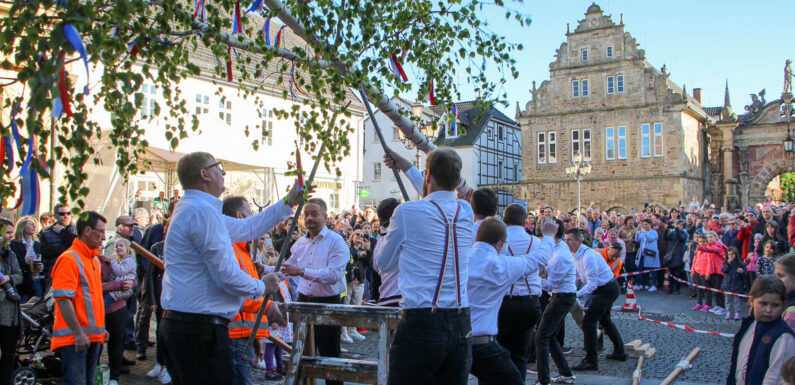 Hunderte begrüßen den Mai: Aufstellen des Maibaums und Musik auf dem Bückeburger Marktplatz
