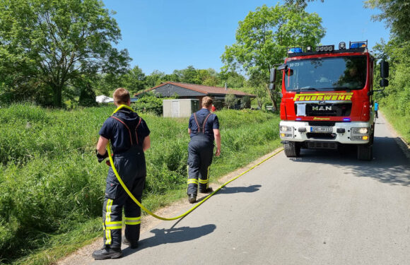 Hagenburg: Feuerwehr löscht Flächenbrand in der Steinhuder-Meer-Straße