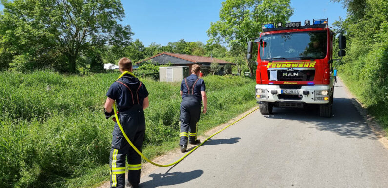 Hagenburg: Feuerwehr löscht Flächenbrand in der Steinhuder-Meer-Straße