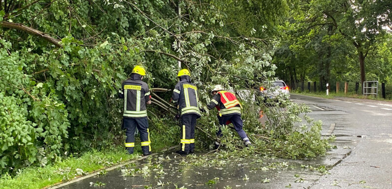 Feuerwehreinsatz nach Sturmschaden in Wölpinghausen