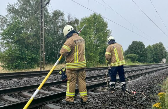 Ast gefährtet Oberleitung der Deutschen Bahn: Feuerwehr behebt Sturmschaden in Probsthagen
