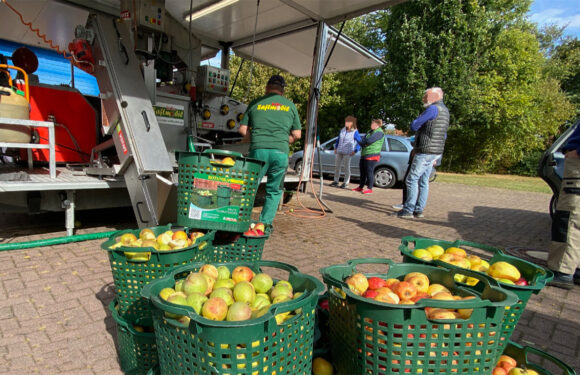 Äpfel, Birnen, Quitten: Das Uchter Saftmobil presst wieder Obst in Meinsen-Warber