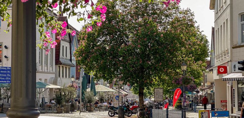 Initiative „Lebenswerte Städte durch angemessene Geschwindigkeiten“: Bückeburg ist erste Schaumburger Gemeinde