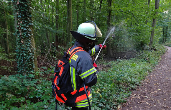 Waldbrand-Übung der Feuerwehr in Bad Eilsen