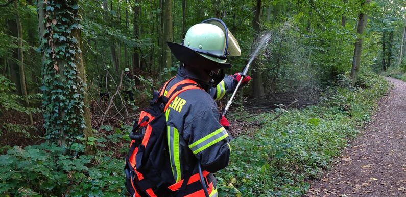 Waldbrand-Übung der Feuerwehr in Bad Eilsen