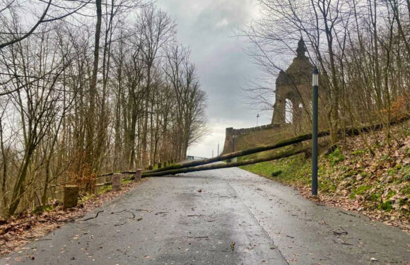 Gefahr umstürzender Bäume: Parkplatz und Fußweg am Kaiser Wilhelm-Denkmal in Porta Westfalica gesperrt