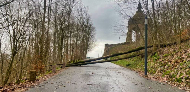 Gefahr umstürzender Bäume: Parkplatz und Fußweg am Kaiser Wilhelm-Denkmal in Porta Westfalica gesperrt