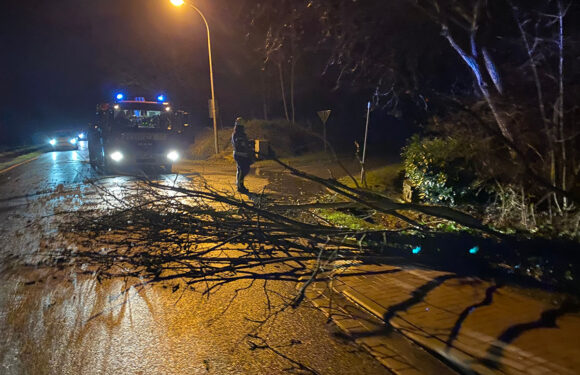 Wölpinghausen: Baum fällt auf Straße