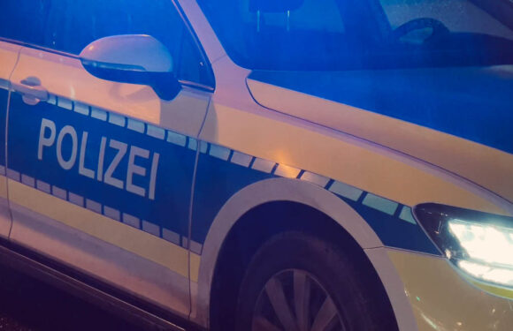 Audi A6 und BMW X5 gestohlen: Autodiebe in Bad Nenndorf und Hagenburg am Werk