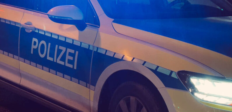 Audi A6 und BMW X5 gestohlen: Autodiebe in Bad Nenndorf und Hagenburg am Werk